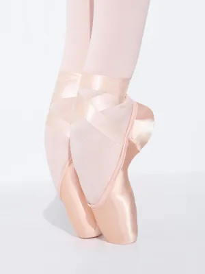 Pointe Shoes For Decorating